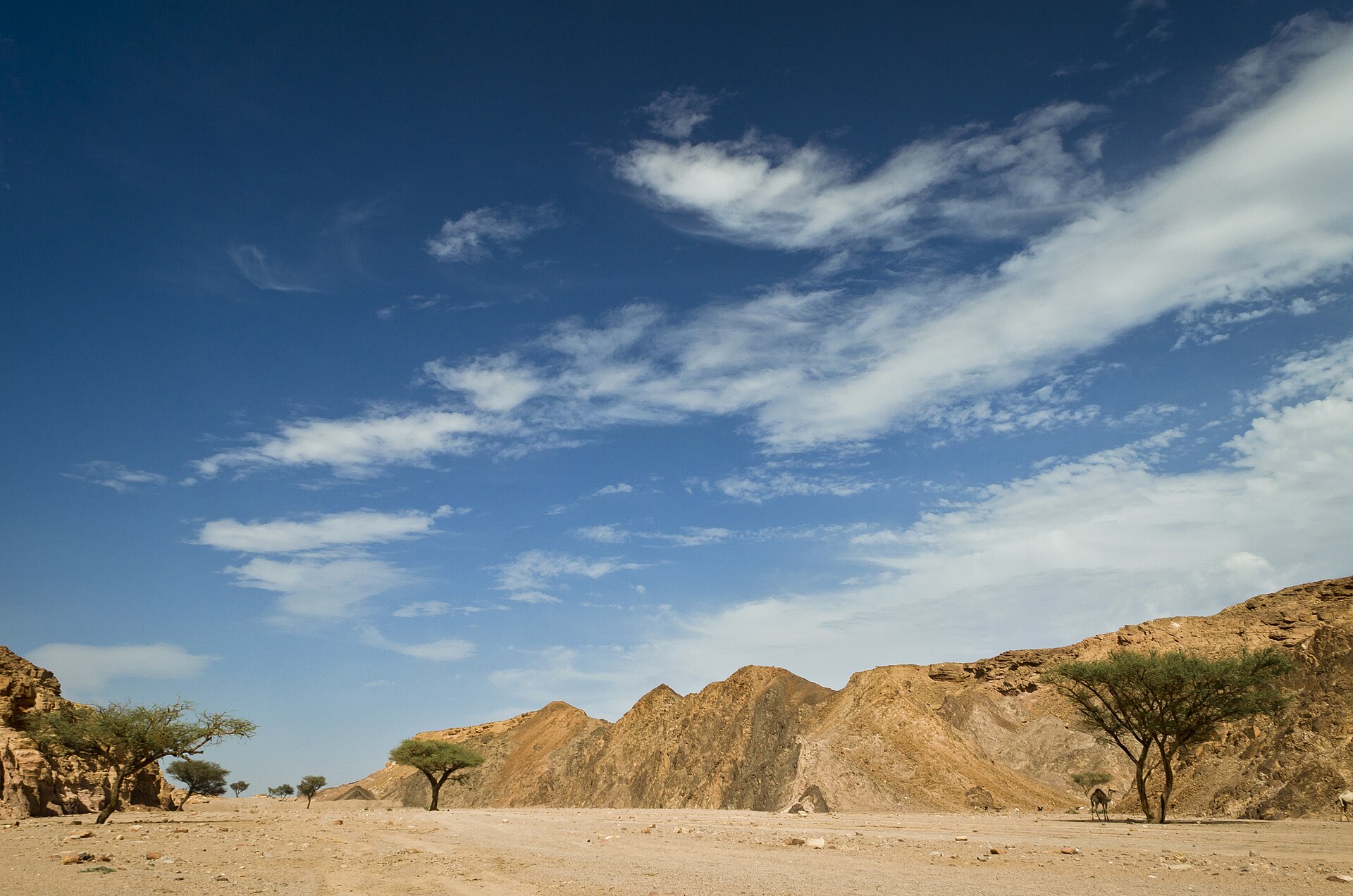 Rugged granite mountains of the Sinai massif